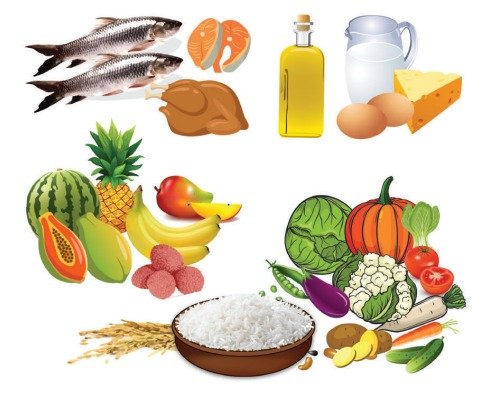 স্বাস্থ্য মেলার আয়োজনের জন্য গুরুত্বপূর্ণ তথ্য